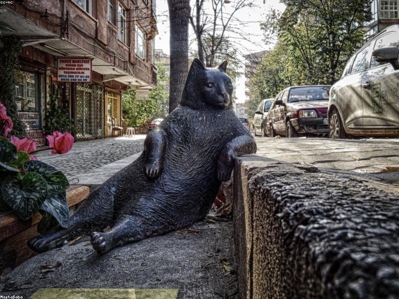 Refuerzo de Deberes Ingles